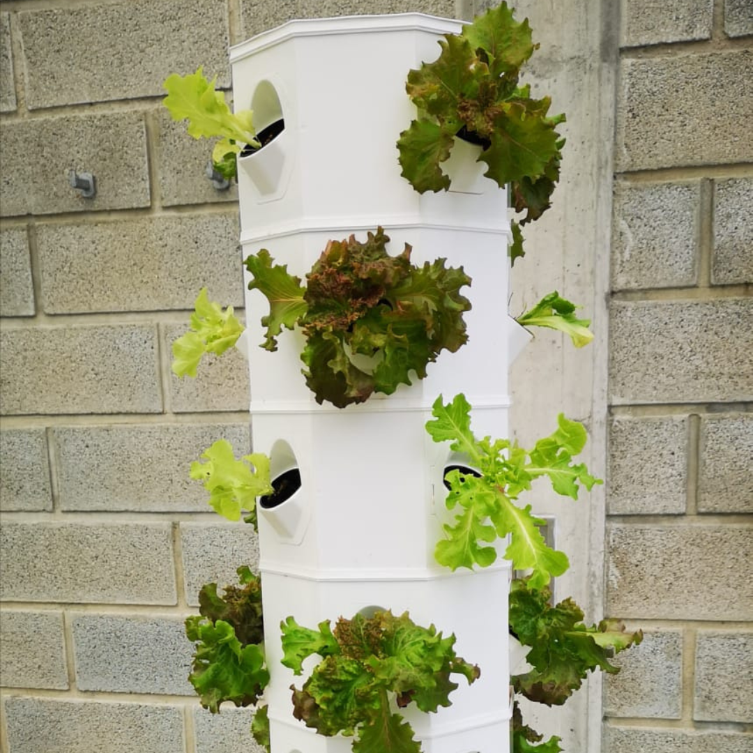 Why grow with aeroponics