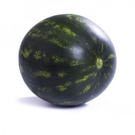 Wassermelone LUSITANA F1 Saatgut – 1.000 Samen