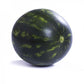 Watermelon LUSITANA F1 Seeds – 1,000 seeds
