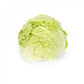 Lattuga Iceberg – semi confettati (50 pz)