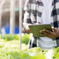 eBook: Hydroponics for Professionals