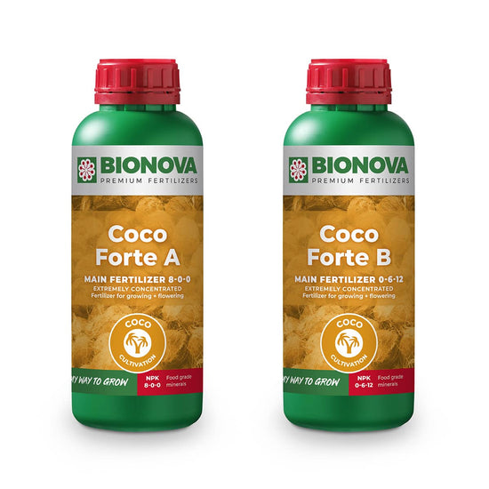 Coco Forte A + B – 2 Litres