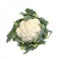 Chou-fleur DEXTER F1 – 2 500 graines