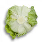 Laitue Iceberg SALMARINAS – 5 000 graines