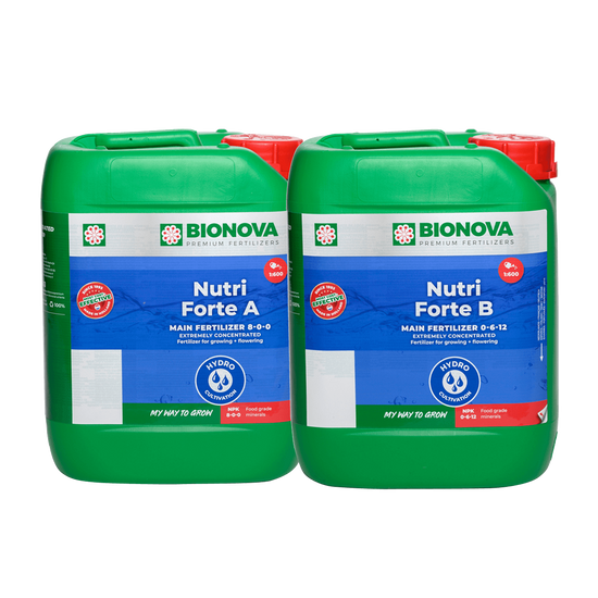 Nutri Forte A + B – 10 Litres