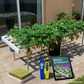 Horizontal Garden 110 Plants – Bundle Pack
