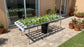 Horizontal Garden 110 Plants – Bundle Pack
