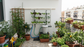 Jardin vertical fixe 40 plantes – pack