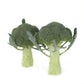 Broccoli ORANTES F1 Seeds – 5,000 seeds