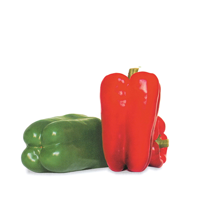 Paprika ZAFIRO F1 Saatgut – 1.000 Samen