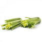 Celery DEVIKA Seeds – 5,000 seeds