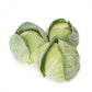 White Cabbage SECOMA F1 Seeds – 2,500 seeds