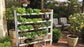 Vertical Mobile Garden 70 Plants – Bundle Pack