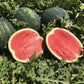 Watermelon LUSITANA F1 Seeds – 1,000 seeds