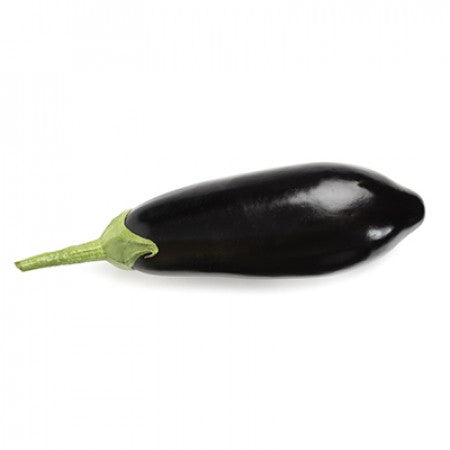 Aubergine KESIA F1 Saatgut – 1.000 Samen