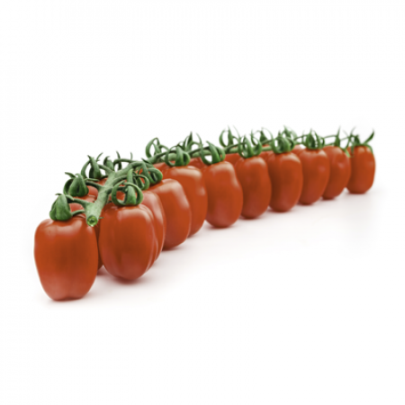 Kirschtomate LEONCINO F1 Saatgut – 1.000 Samen