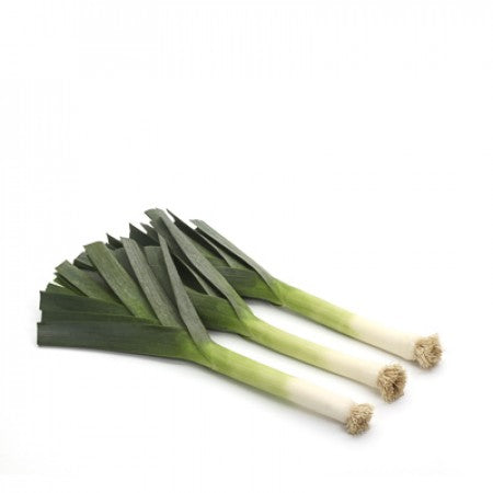 Leek MATISSE F1 Seeds – 2,500 seeds