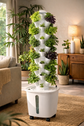 Mini Hydroponic Tower – 50 Plants