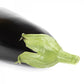 Aubergine KESIA F1 Saatgut – 1.000 Samen