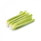 Celery DEVIKA Seeds – 5,000 seeds
