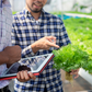 eBook: Hydroponics for Professionals