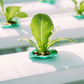 Kit de nutriments pour légumes-feuilles – 1 à 1000 L
