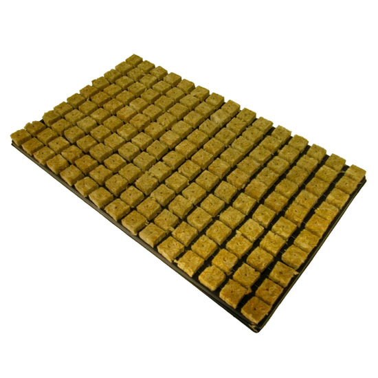 Vassoio cubetti di lana di roccia 4,0 × 2,5 × 2,5 cm (155 pz)