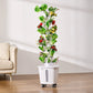Mini Hydroponic Tower – 50 Plants
