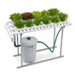 Horizontal Garden - 40 plants
