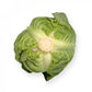Chou Blanc CILEMA F1 – 2 500 graines