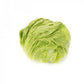 Lattuga Iceberg – semi confettati (50 pz)