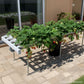Horizontal Garden 110 Plants – Bundle Pack