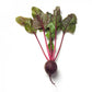 Beetroot LIBERO F1 Seeds – 25,000 seeds