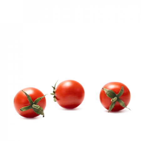 Kirschtomate GUINDO F1 Saatgut – 1.000 Samen