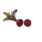 Beetroot LIBERO F1 Seeds – 25,000 seeds