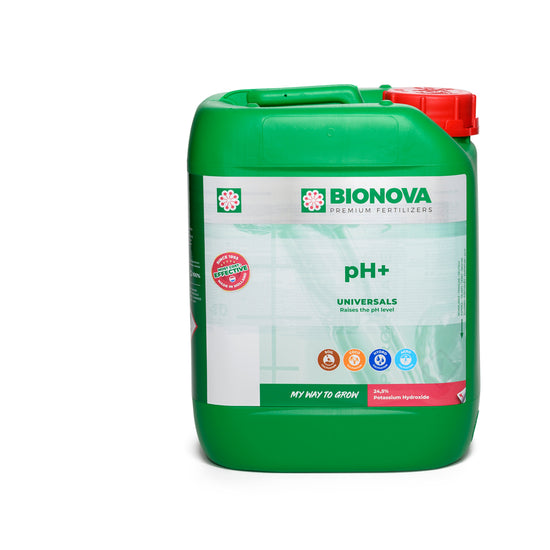 Soluzione pH+ – 5 litri