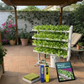 Vertical Mobile Garden 70 Plants – Bundle Pack