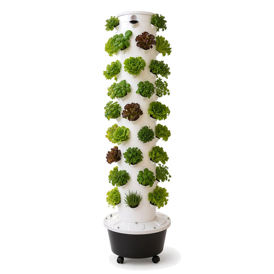Hydroponic Tower – 60 Plants