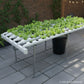 Horizontal Garden 110 Plants – Bundle Pack