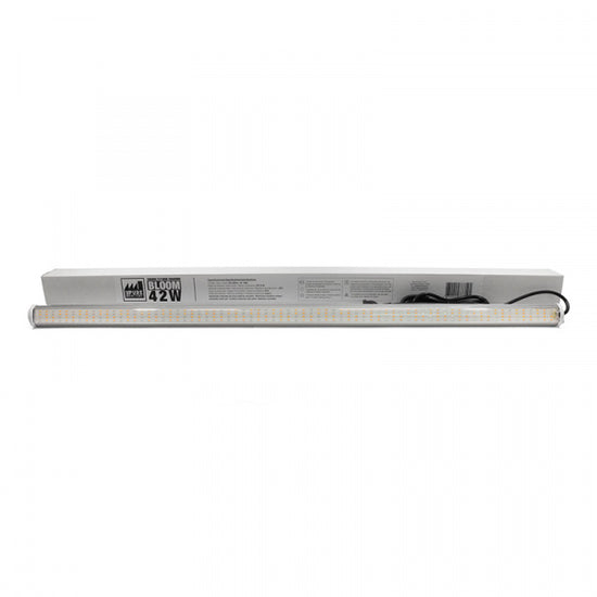 PLED 42 W 2100 K LED Bar – Bloom