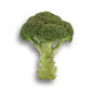 Broccoli AGASSI F1 Seeds – 5,000 seeds