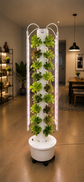 Torre idroponica con LED – 40 piante