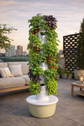 Hydroponic Tower – 44 Plants