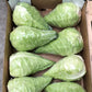 Spitzkohl LINCMA F1 Saatgut – 2.500 Samen