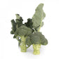 Broccolo LARSSON – 5.000 semi