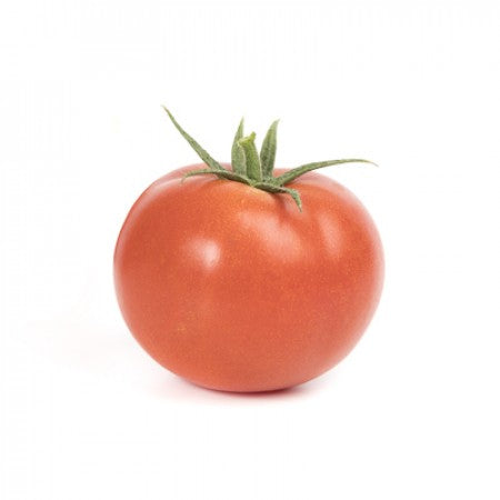 Tomate PIZARRO F1 Saatgut – 1.000 Samen