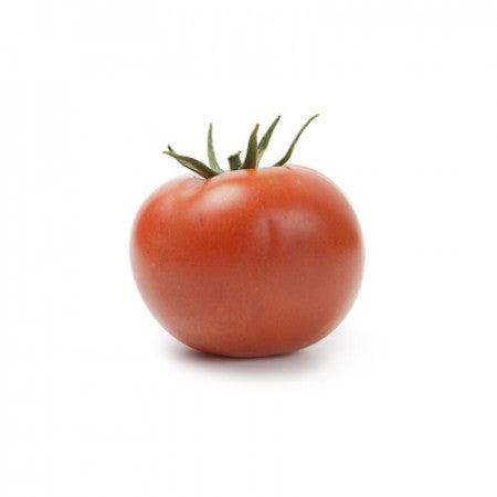 Tomato ALVALADE F1 Seeds – 1,000 seeds