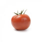 Tomato ALVALADE F1 Seeds – 1,000 seeds