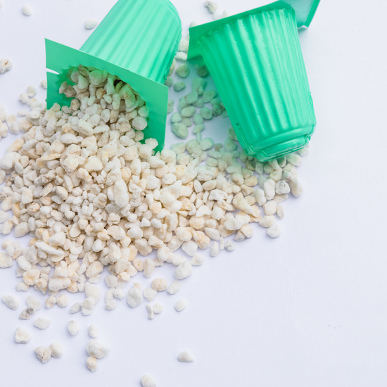Perlite – 100 g