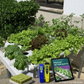 Horizontal Garden 40 Plants – Bundle Pack